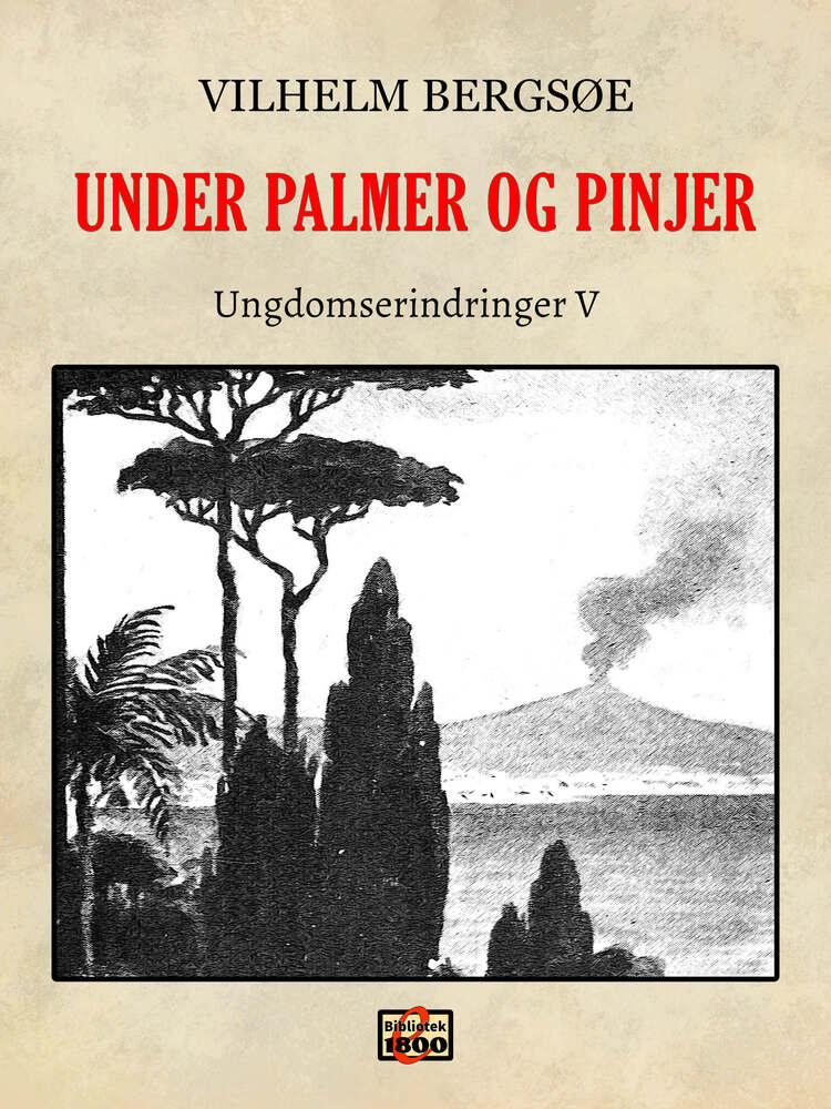 Under palmer og pinjer