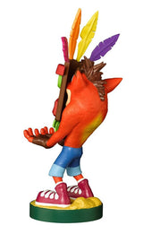 Crash Aku Cable Guy