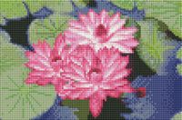 Diamond Art lærred åkande 30 x 20 cm