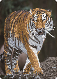 Diamond Art tiger 13 x 18 cm