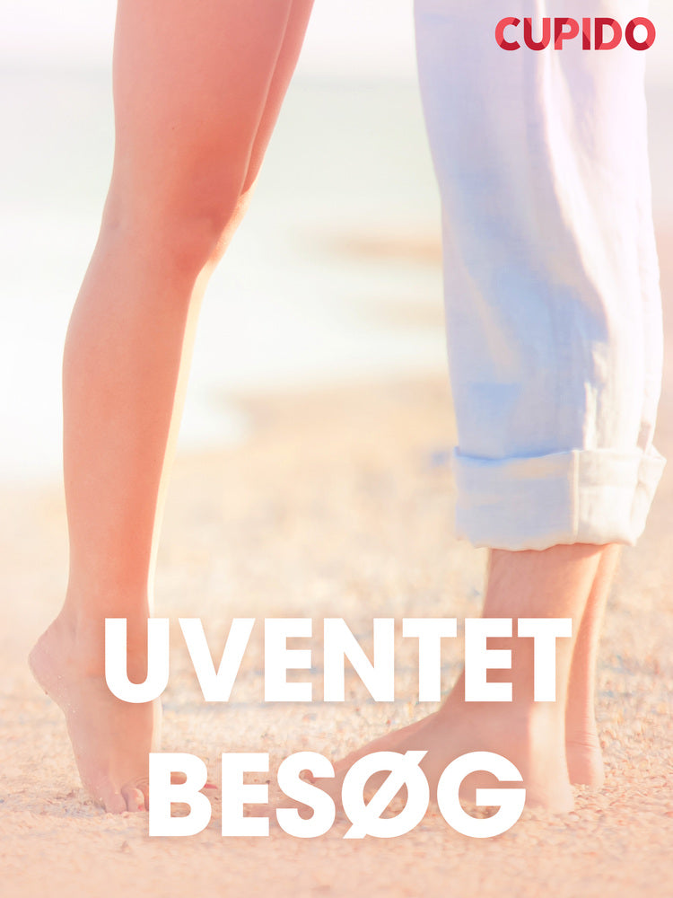 Uventet besøg – erotiske noveller