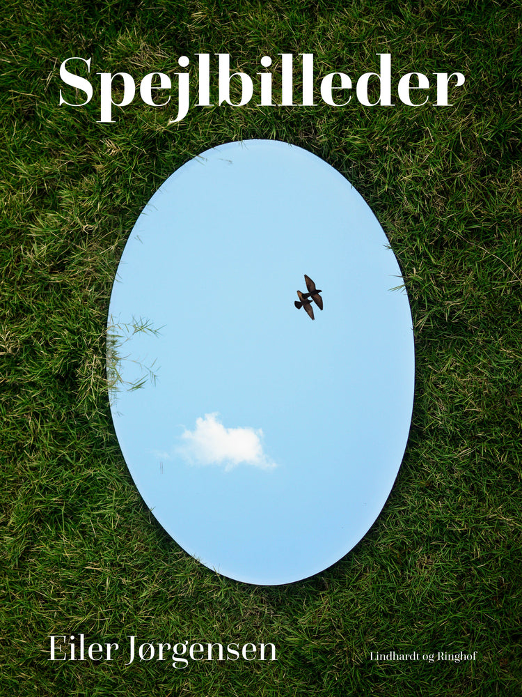Spejlbilleder