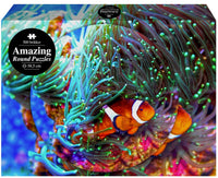 Puslespil Amazing round 500 brikker Fish