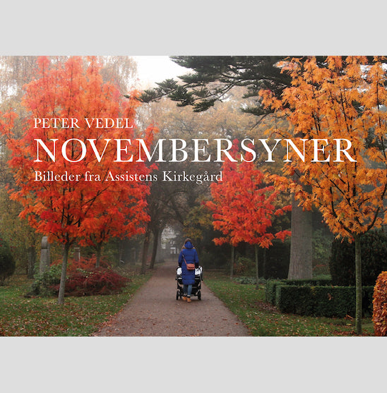 Novembersyner