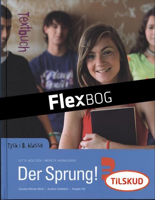 Der Sprung! 3, Elev