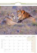 Vægkalender savannen 2022 29,5 x 39 cm Mayland