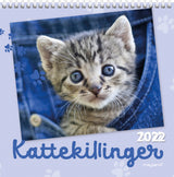Vægkalender kattekillinger 2022 16 x 16 cm Mayland