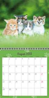 Vægkalender kattekillinger 2022 16 x 16 cm Mayland