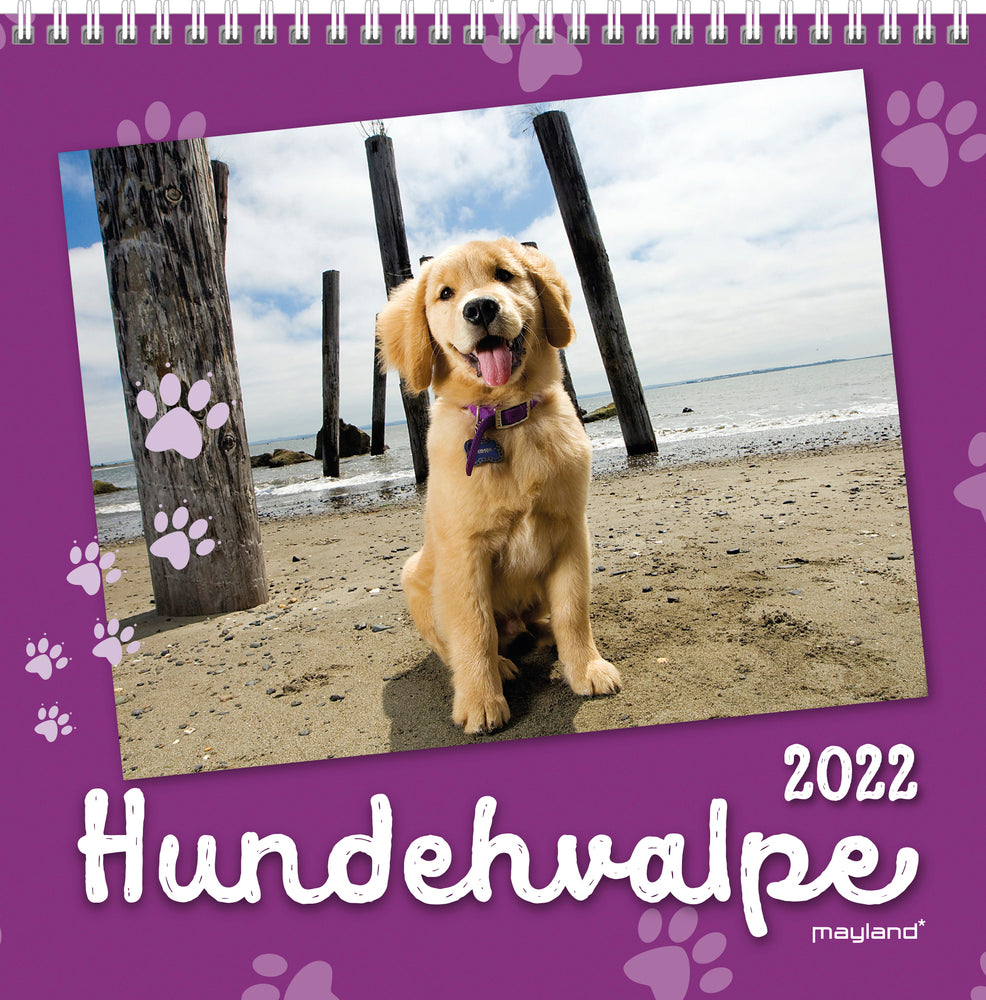 Vægkalender hundehvalpe 2022 16 x 16 cm Mayland
