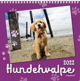 Vægkalender hundehvalpe 2022 16 x 16 cm Mayland