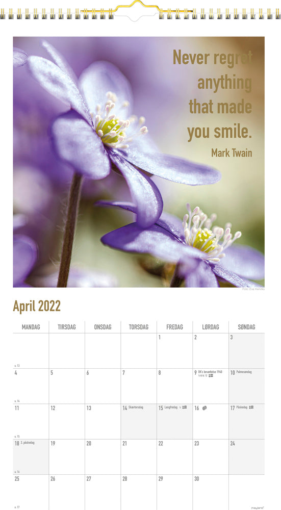 Vægkalender dream do 2022 25 x 45 cm Mayland