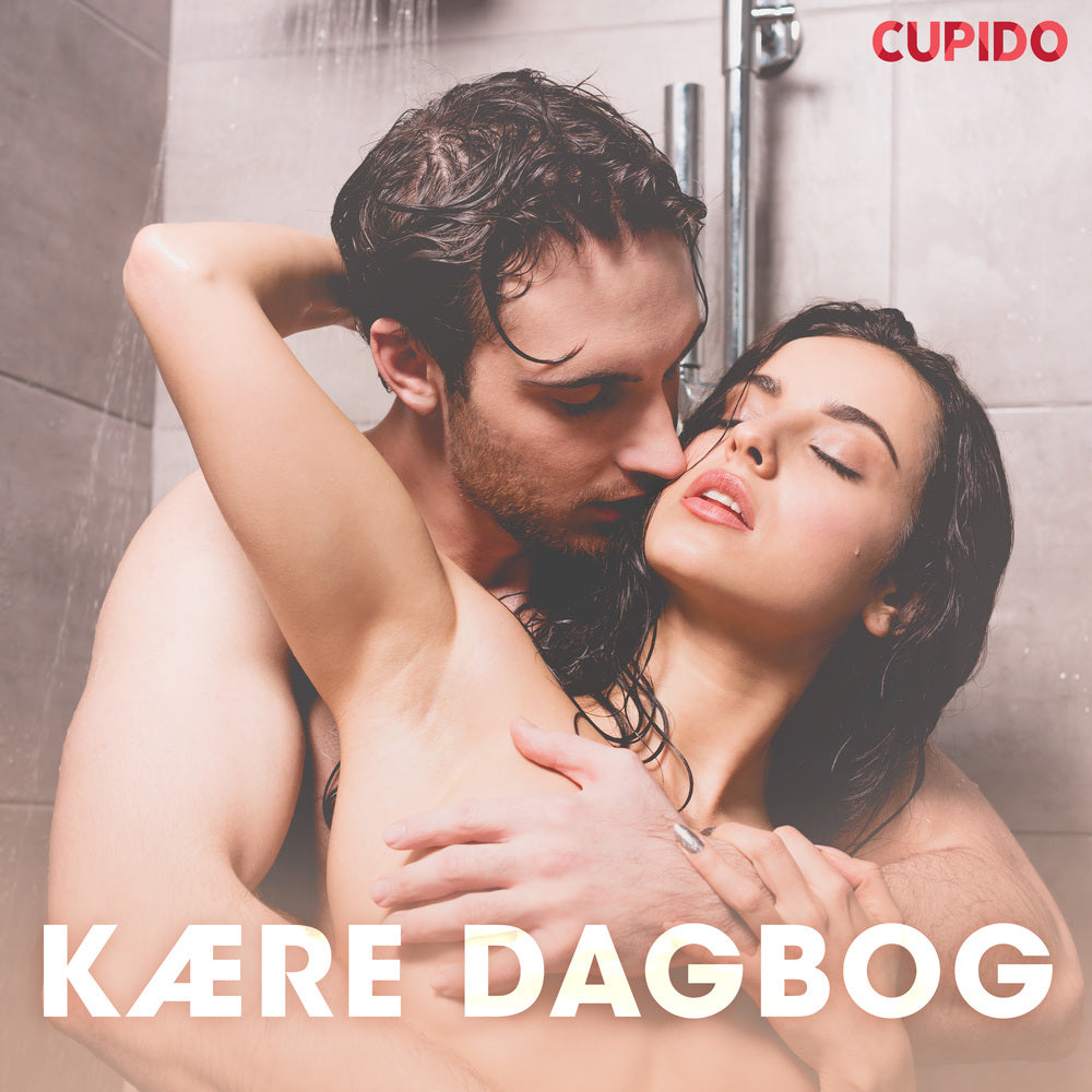 Kære dagbog – erotiske noveller