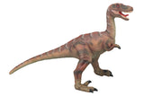Velociraptor