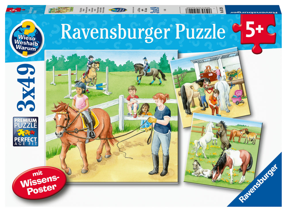 Puslespil A day at the stables 3x49 brikker