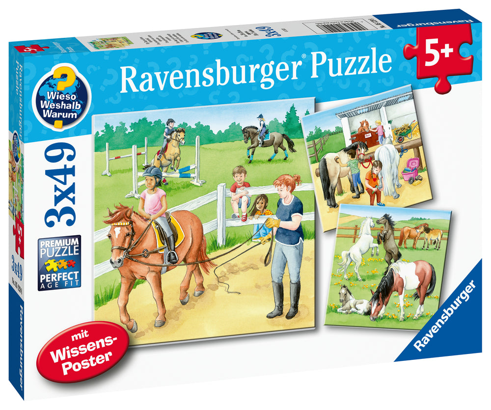 Puslespil A day at the stables 3x49 brikker