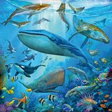 Puslespil Ocean Life 3x49 brikker