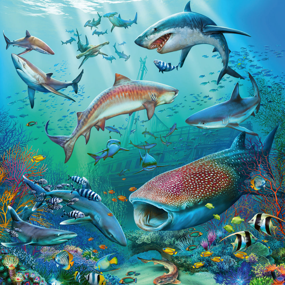 Puslespil Ocean Life 3x49 brikker