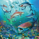 Puslespil Ocean Life 3x49 brikker