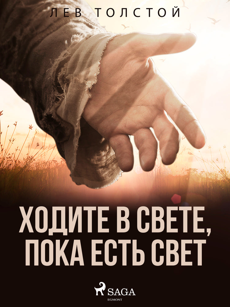 Ходите в свете, пока есть свет