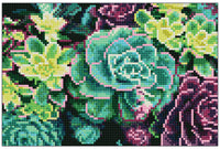 Diamond Art lærred sukkulenter 30 x 20 cm