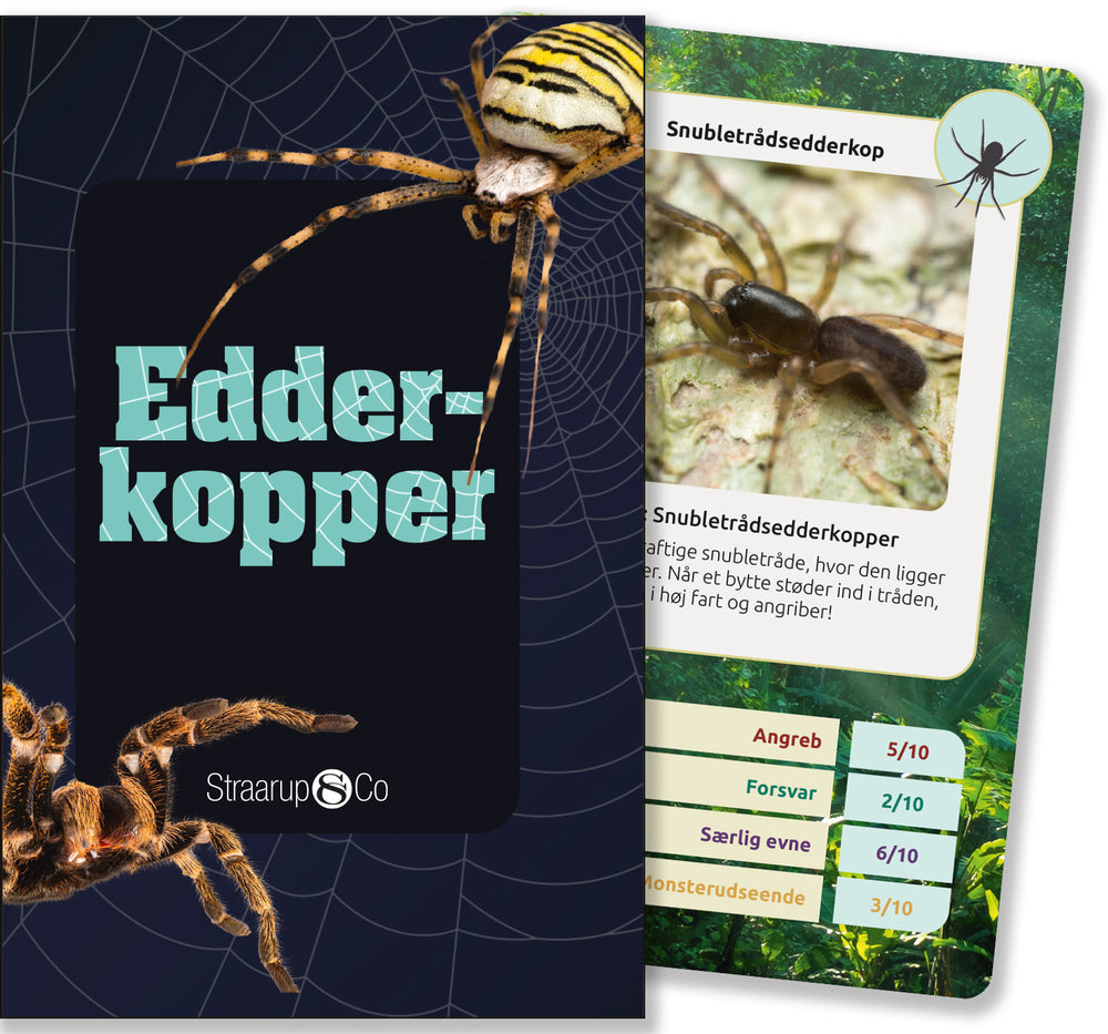 Edderkopper (kortspil)
