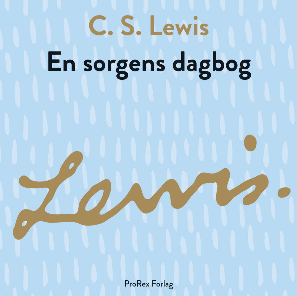 En sorgens dagbog