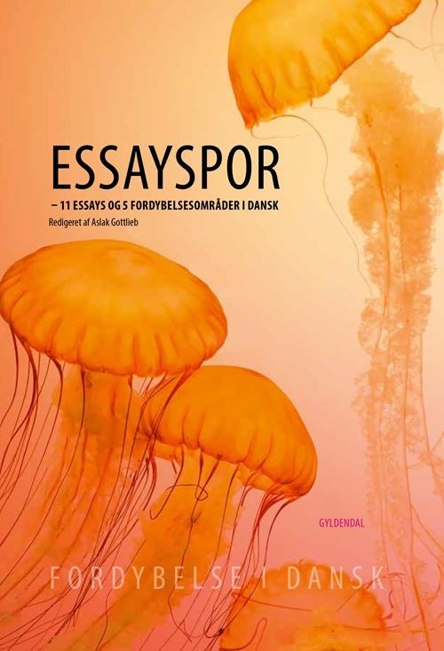 D1 Essayspor