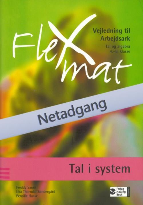 FlexMat, Tal i system, Arbejdsark, Netadgang