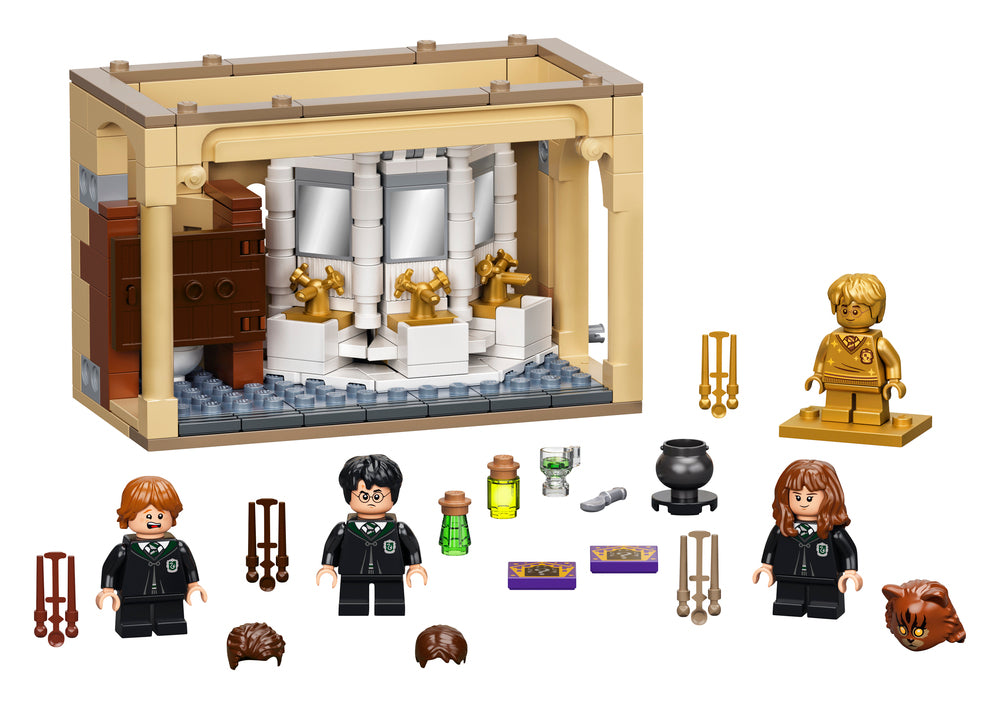 76386 LEGO Harry Potter TM Hogwarts™: Polyjuice-eliksirfejl