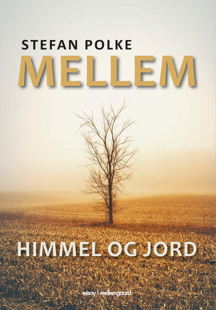 Mellem himmel og jord