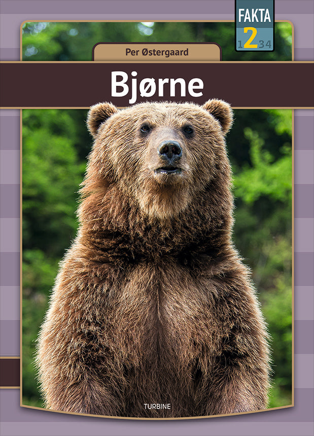 Bjørne