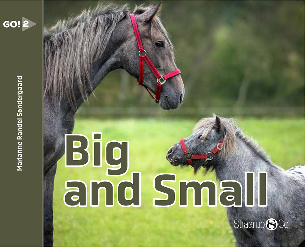 Big and Small (svenske gloser)