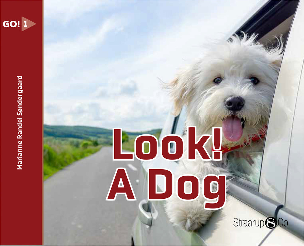 Look! A Dog (svenske gloser)