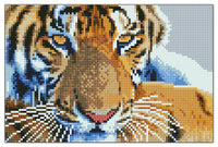 Diamond Art tiger ansigt 20 x 30 cm