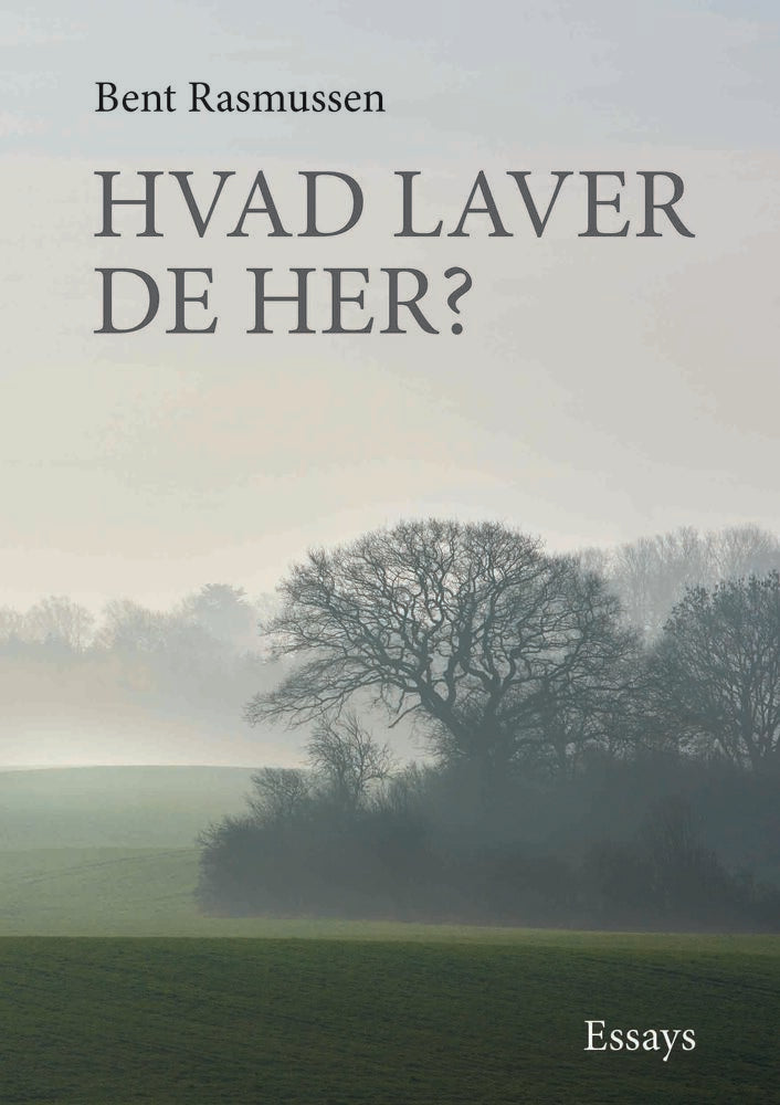Hvad laver De her?