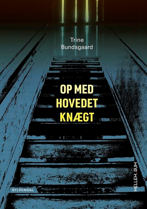 Mellem_rum. Op med hovedet knægt
