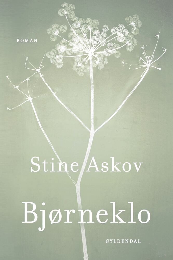 Bjørneklo