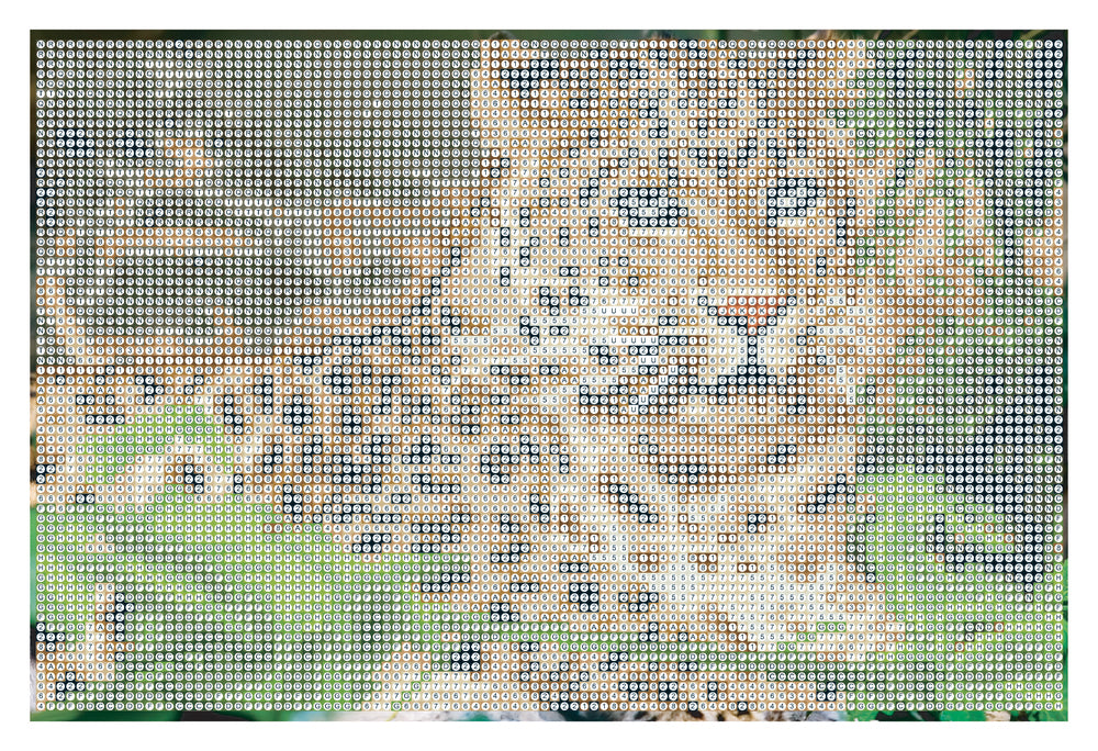 Diamond Art LEOPARD lærred 20 x 30 cm