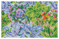 Diamond Art Sukkulenter lærred 20 x 30 cm
