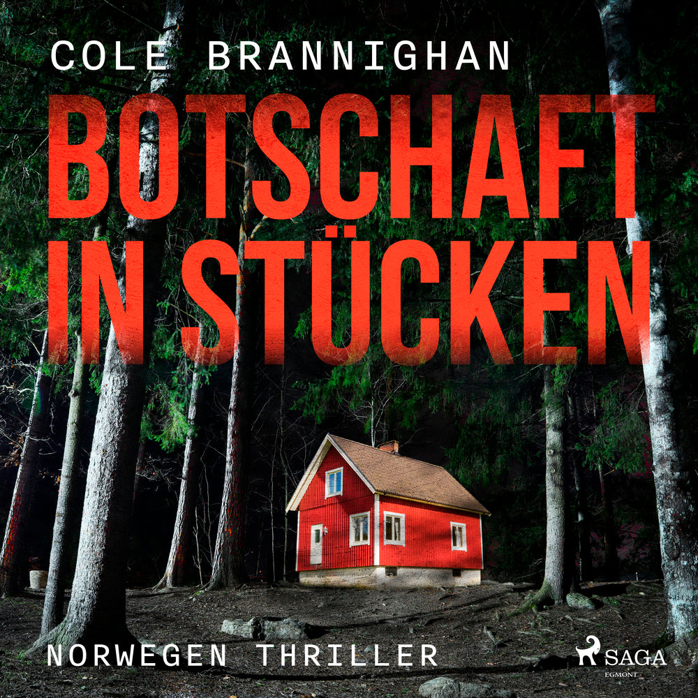 Botschaft in Stücken: Norwegen-Thriller