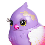 Fuglebur asst