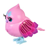 Fuglebur asst