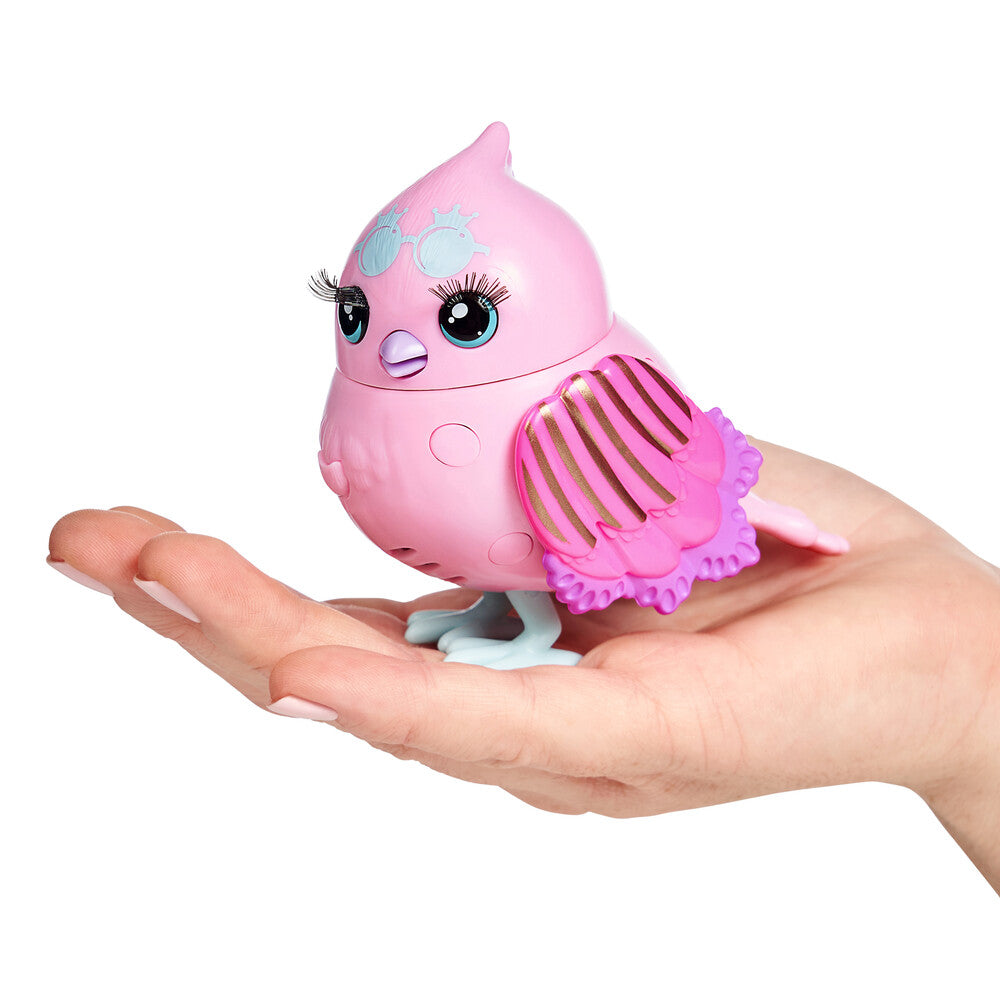 Fuglebur asst