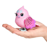 Fuglebur asst