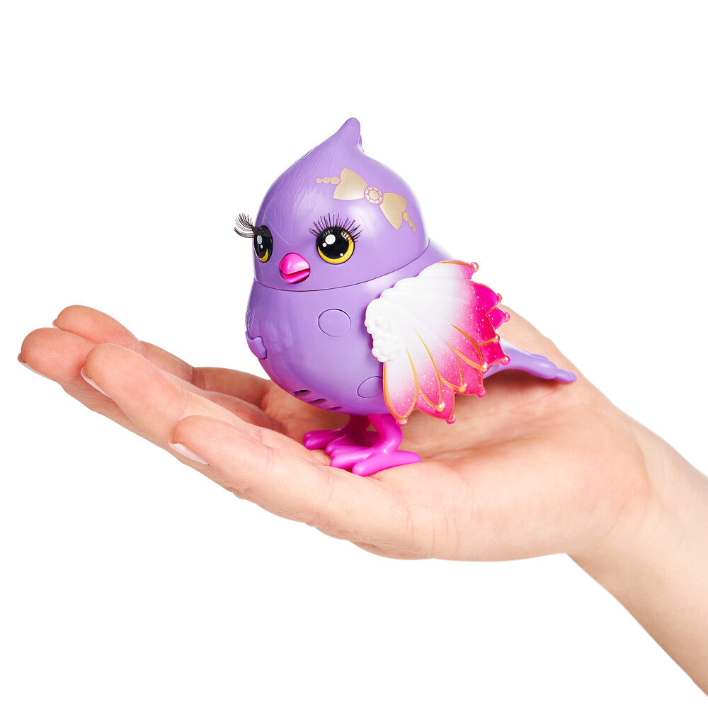 Fuglebur asst