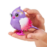Fuglebur asst