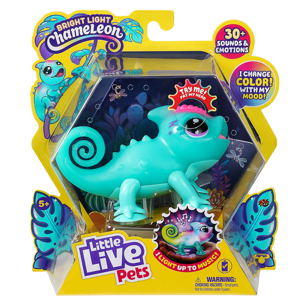 Calm a Chameleon