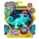 Calm a Chameleon
