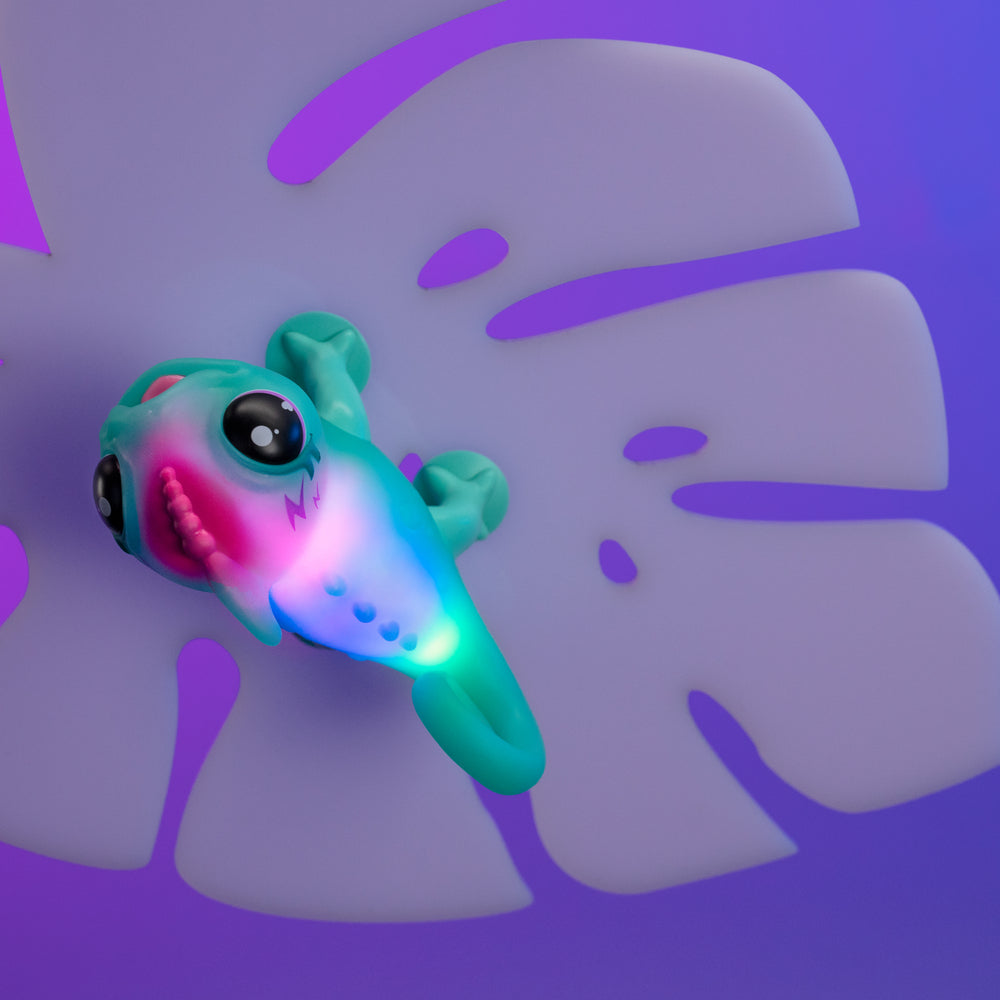 Calm a Chameleon