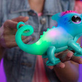 Calm a Chameleon